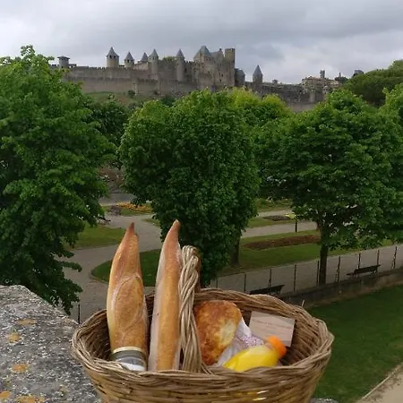 Studio Très Spacieux Avec Cour, En Plein Cœur De ! * Carcassonne