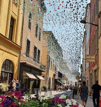 Studio Tres Spacieux Avec Cour, En Plein Coeur De ! 公寓 卡尔卡松