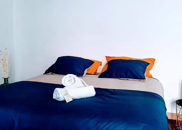 Studio Tres Spacieux Avec Cour, En Plein Coeur De ! Καρκασόν