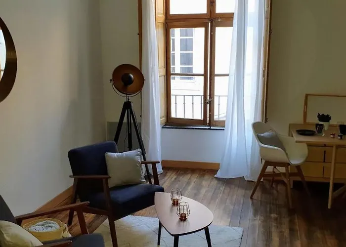 Διαμέρισμα Studio Tres Spacieux Avec Cour, En Plein Coeur De ! Καρκασόν