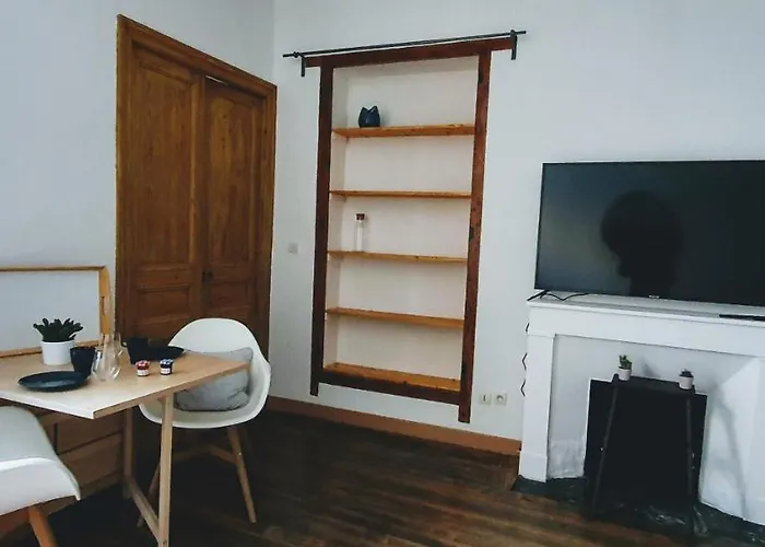 Διαμέρισμα Studio Tres Spacieux Avec Cour, En Plein Coeur De ! Καρκασόν