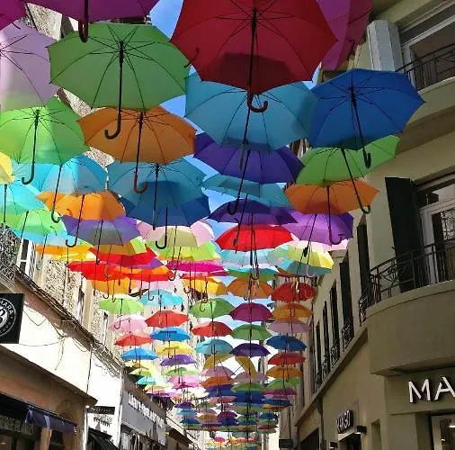 Studio Tres Spacieux Avec Cour, En Plein Coeur De ! Καρκασόν